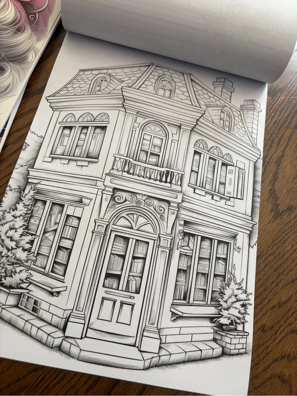 Adult Coloring Books